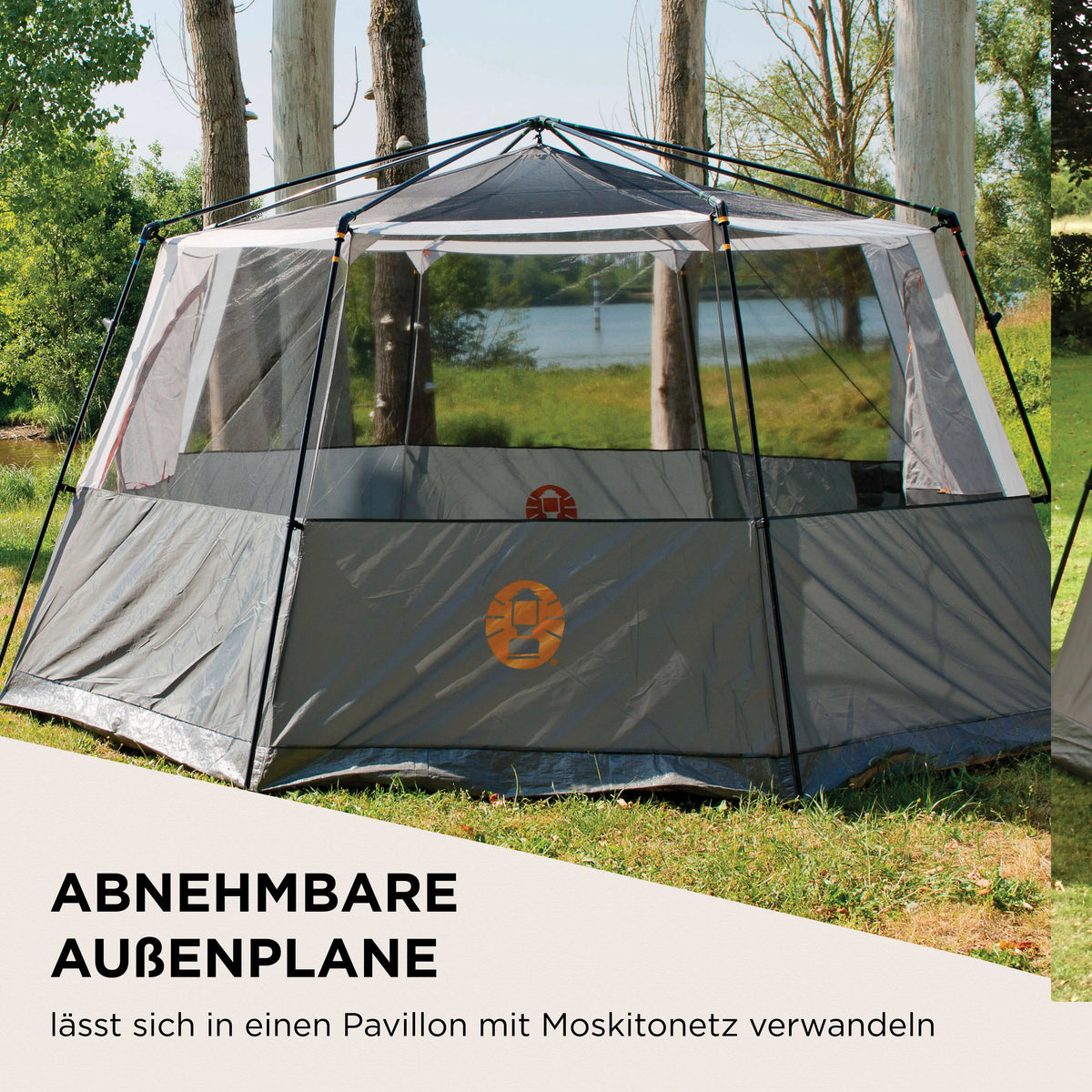 Octagon 8 Orange Coleman