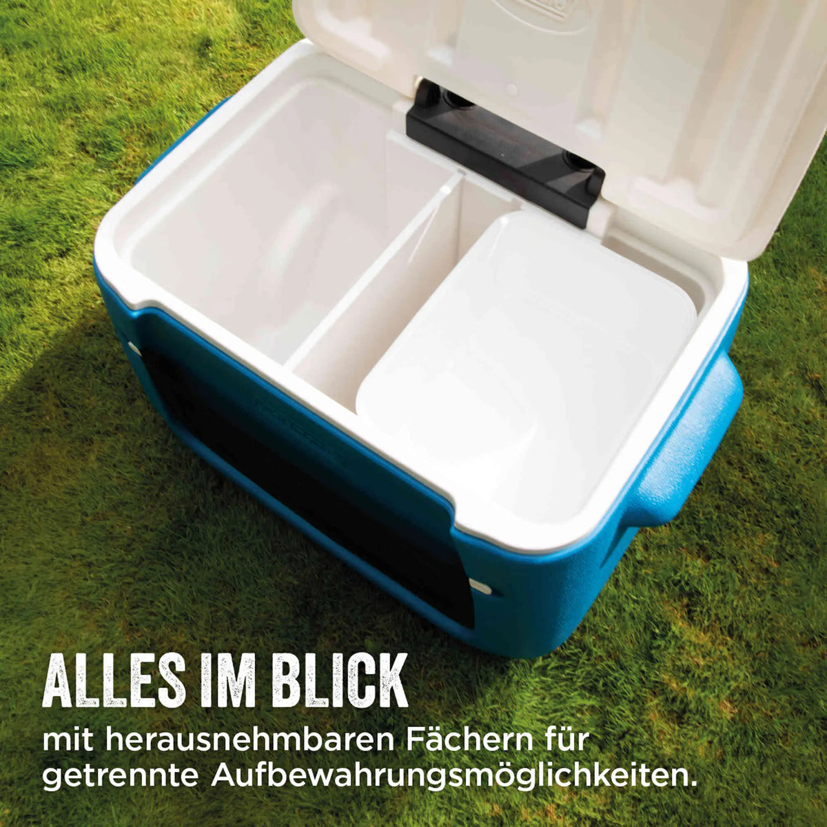 Coleman 50QT Polylite Wheeled | 46 Liter Kühlbox mit Rollen | 3 Tage Kühlung  Kühlbox Campingaz & Coleman