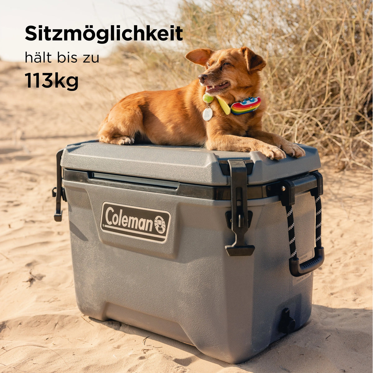 Coleman Convoy 55 QT Kühlbox Coleman