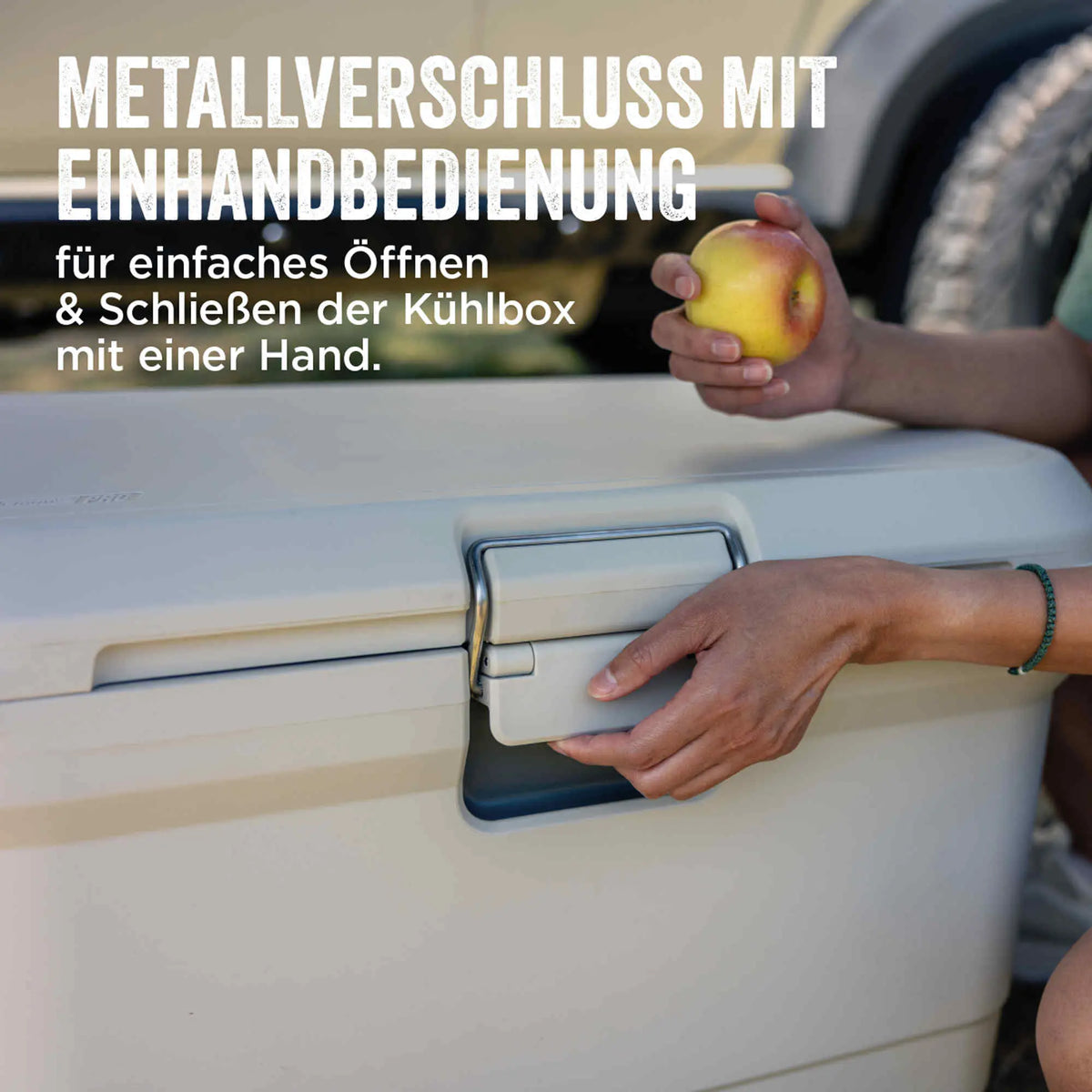 Coleman PRO 25QT | 24 Liter Kühlbox | bis zu 3.5 Tage Kühlung  Kühlbox Campingaz & Coleman