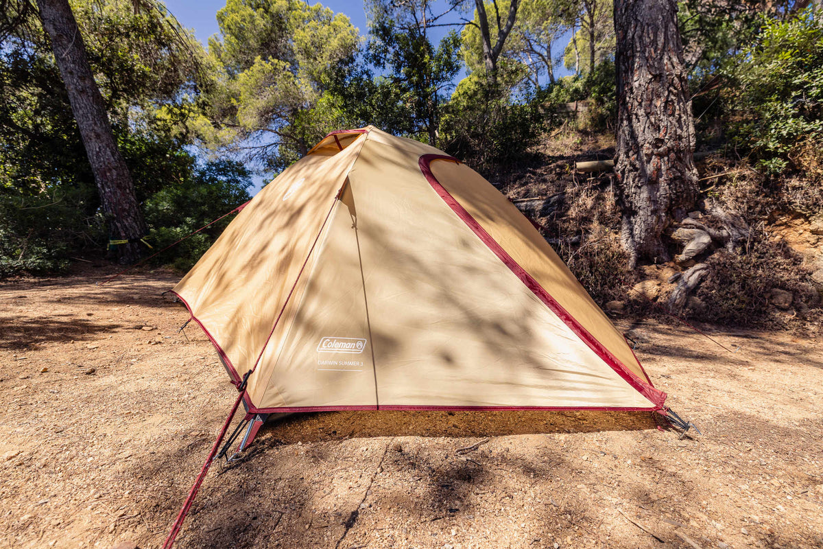 Coleman Darwin 3 Summer | leichtes Kuppelzelt | 3 Personen  Zelt Campingaz & Coleman