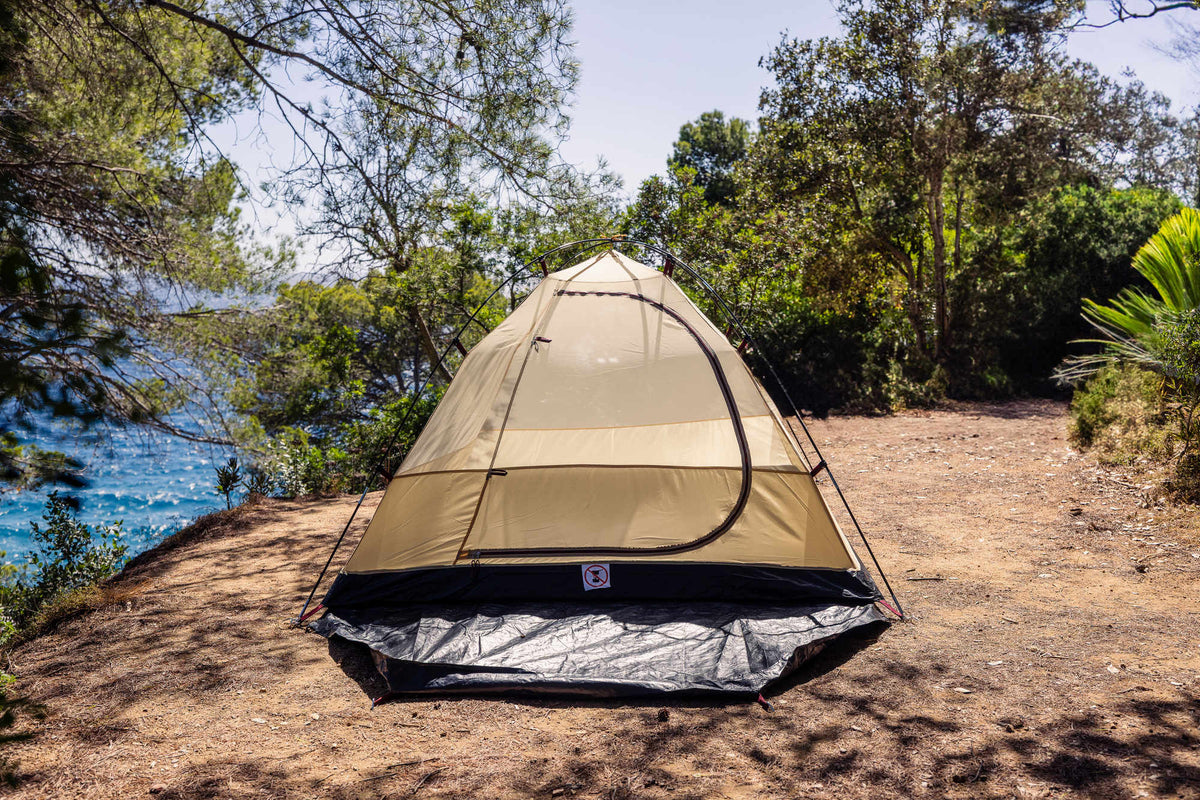 Coleman Darwin 3 Plus Summer | leichtes Kuppelzelt mit Vorraum | 3 Personen  Zelt Campingaz & Coleman