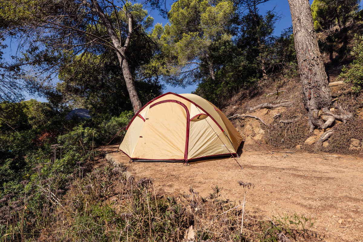 Coleman Darwin 4 Plus Summer | leichtes Kuppelzelt mit Vorraum | 4 Personen  Zelt Campingaz & Coleman