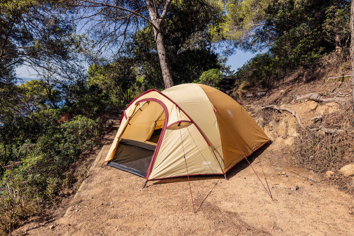 Coleman Darwin 4 Plus Summer | leichtes Kuppelzelt mit Vorraum | 4 Personen  Zelt Campingaz & Coleman
