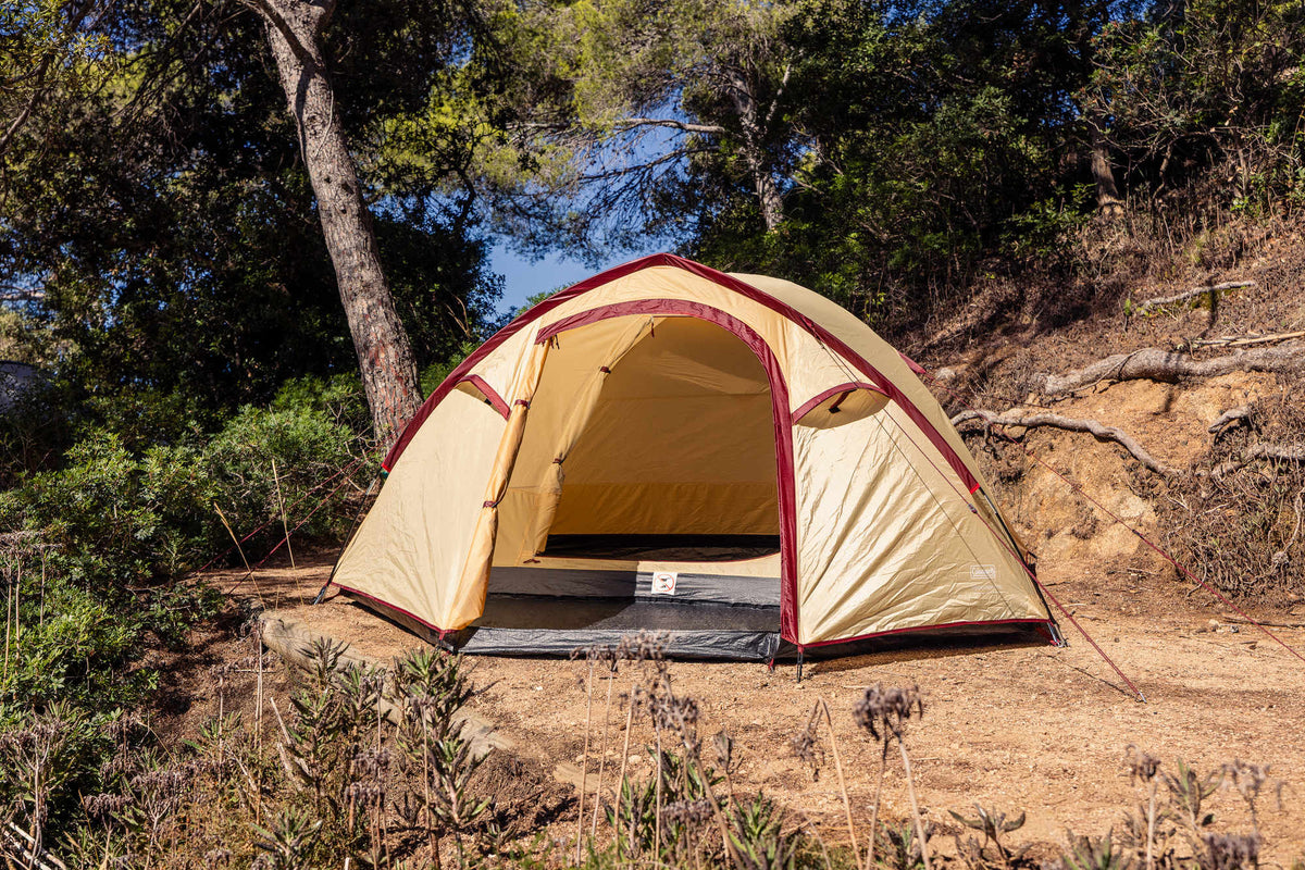 Coleman Darwin 4 Plus Summer | leichtes Kuppelzelt mit Vorraum | 4 Personen  Zelt Campingaz & Coleman