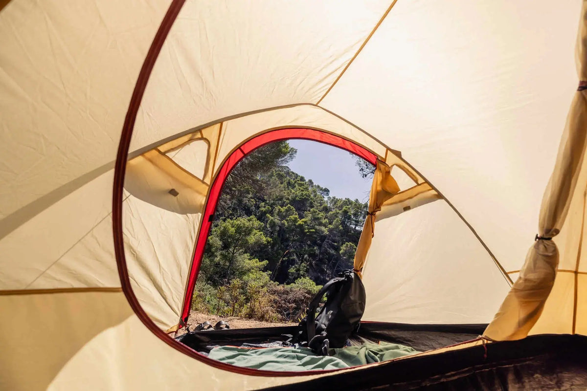 Coleman Darwin 4 Plus Summer | leichtes Kuppelzelt mit Vorraum | 4 Personen  Zelt Campingaz & Coleman